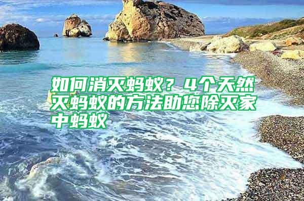 如何消滅螞蟻？4個(gè)天然滅螞蟻的方法助您除滅家中螞蟻