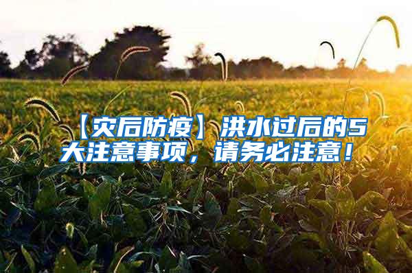 【災后防疫】洪水過后的5大注意事項，請務必注意！