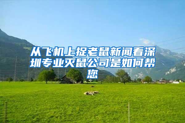 從飛機上捉老鼠新聞看深圳專業(yè)滅鼠公司是如何幫您