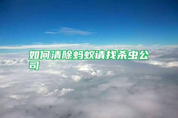 如何清除螞蟻請(qǐng)找殺蟲公司