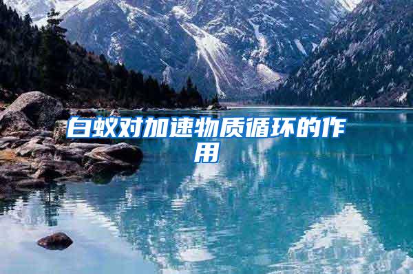 白蟻對(duì)加速物質(zhì)循環(huán)的作用
