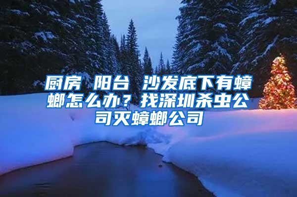 廚房 陽臺 沙發底下有蟑螂怎么辦？找深圳殺蟲公司滅蟑螂公司