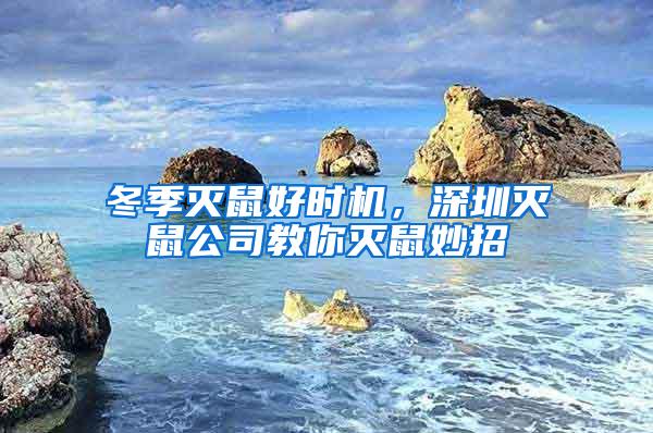 冬季滅鼠好時(shí)機(jī)，深圳滅鼠公司教你滅鼠妙招