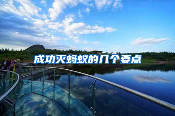 成功滅螞蟻的幾個要點