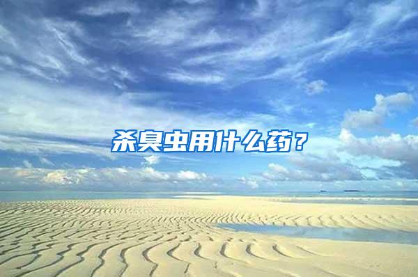 殺臭蟲(chóng)用什么藥？