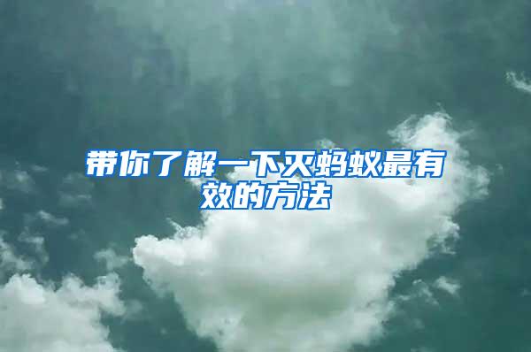 帶你了解一下滅螞蟻?zhàn)钣行У姆椒?/></p>
             <p style=