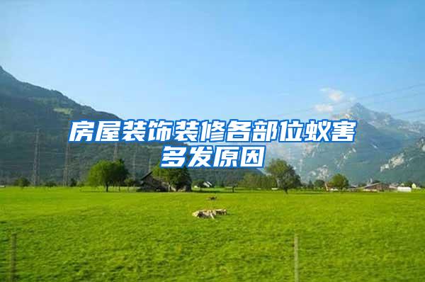 房屋裝飾裝修各部位蟻害多發(fā)原因