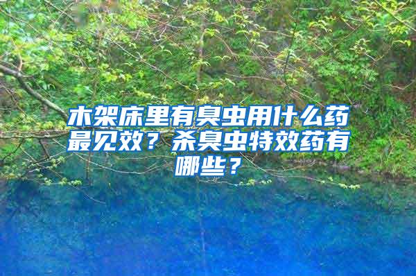 木架床里有臭蟲(chóng)用什么藥最見(jiàn)效？殺臭蟲(chóng)特效藥有哪些？