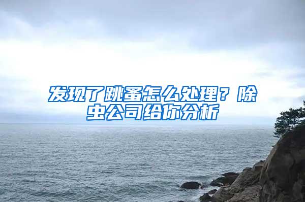 發(fā)現(xiàn)了跳蚤怎么處理？除蟲公司給你分析