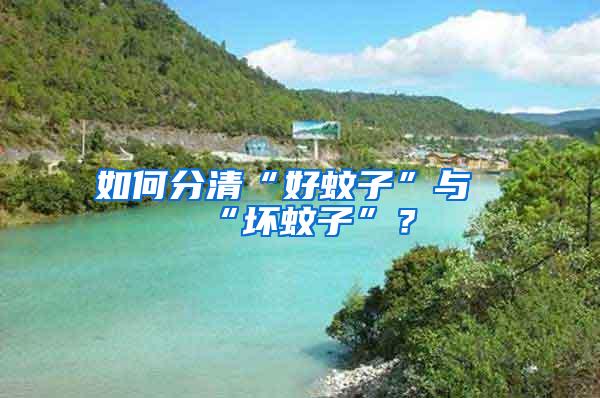 如何分清“好蚊子”與“壞蚊子”？