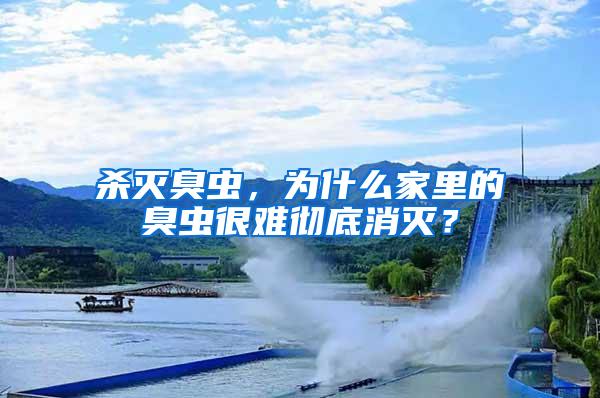 殺滅臭蟲，為什么家里的臭蟲很難徹底消滅？