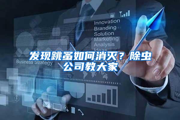 發現跳蚤如何消滅？除蟲公司教大家