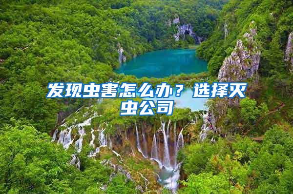 發現蟲害怎么辦？選擇滅蟲公司