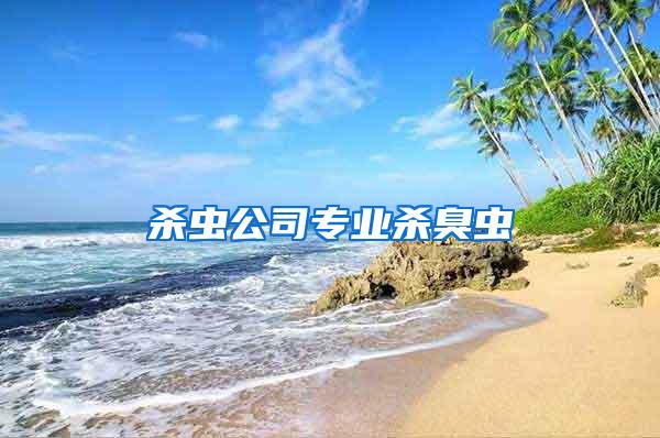 殺蟲公司專業殺臭蟲