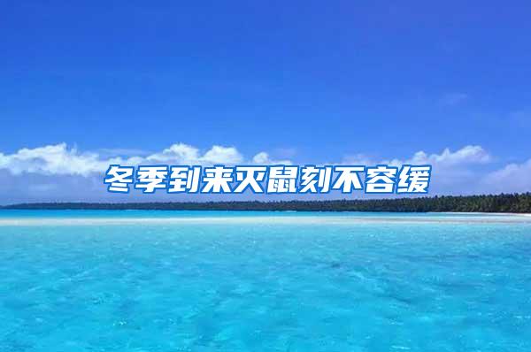 冬季到來(lái)滅鼠刻不容緩