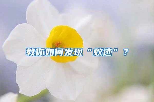 教你如何發現“蟻跡”？