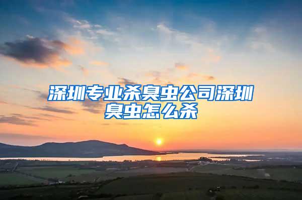 深圳專業(yè)殺臭蟲公司深圳臭蟲怎么殺