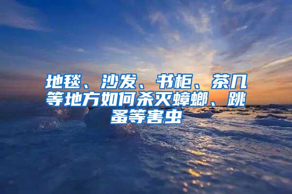 地毯、沙發、書柜、茶幾等地方如何殺滅蟑螂、跳蚤等害蟲