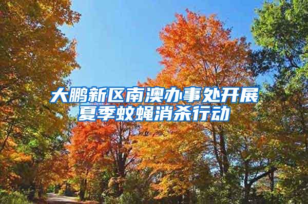 大鵬新區(qū)南澳辦事處開(kāi)展夏季蚊蠅消殺行動(dòng)