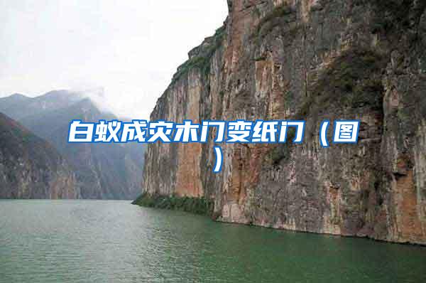 白蟻成災木門變紙門（圖）