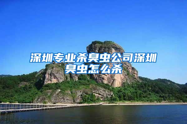 深圳專業殺臭蟲公司深圳臭蟲怎么殺