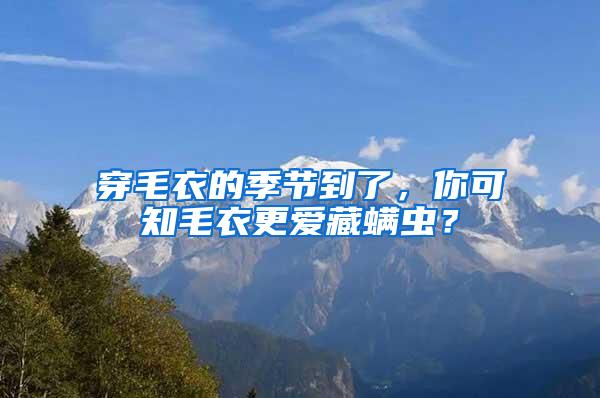 穿毛衣的季節到了，你可知毛衣更愛藏螨蟲？