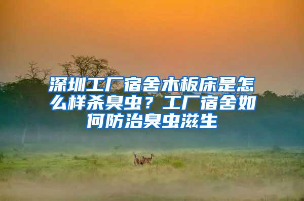深圳工廠宿舍木板床是怎么樣殺臭蟲？工廠宿舍如何防治臭蟲滋生