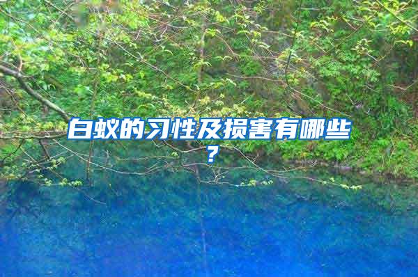 白蟻的習(xí)性及損害有哪些？