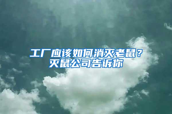 工廠應該如何消滅老鼠？滅鼠公司告訴你