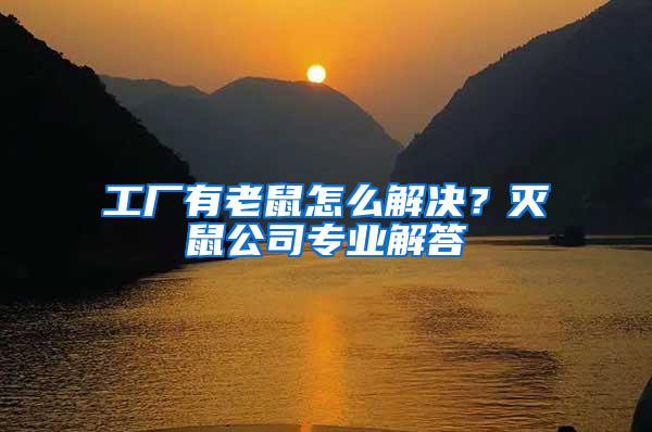 工廠有老鼠怎么解決？滅鼠公司專業(yè)解答