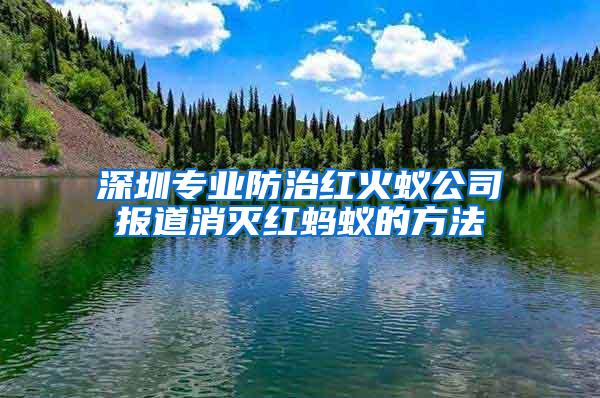深圳專業(yè)防治紅火蟻公司報(bào)道消滅紅螞蟻的方法