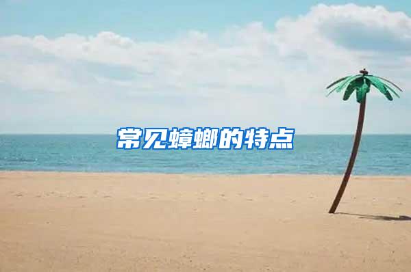 常見蟑螂的特點(diǎn)