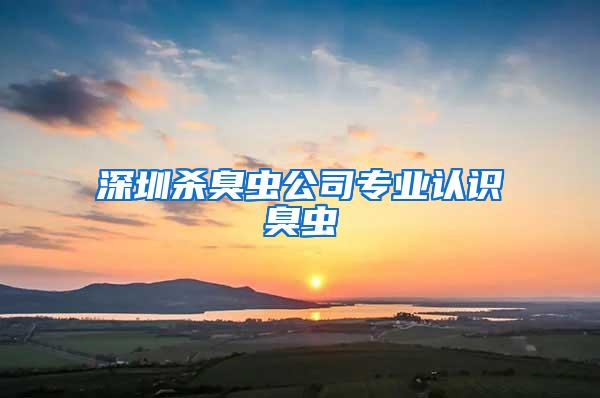 深圳殺臭蟲公司專業(yè)認識臭蟲