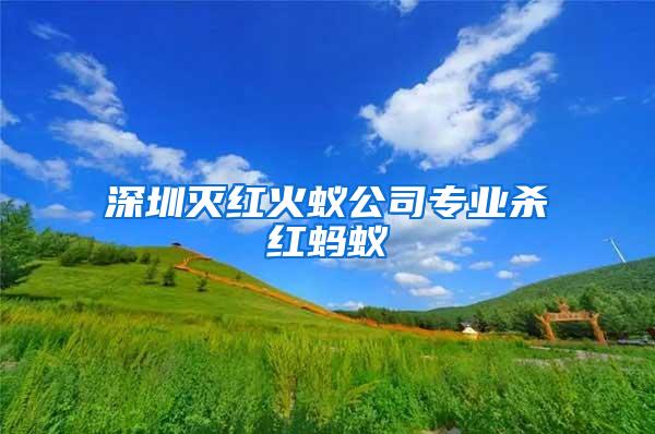 深圳滅紅火蟻公司專業(yè)殺紅螞蟻