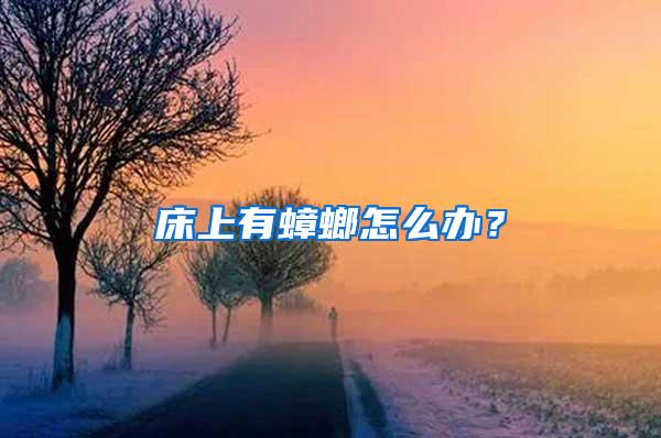 床上有蟑螂怎么辦？