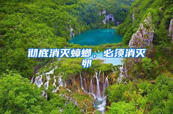 徹底消滅蟑螂，必須消滅卵