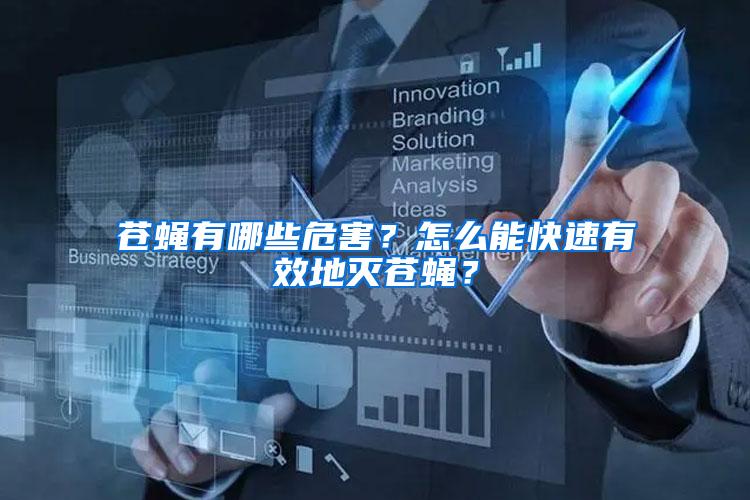 蒼蠅有哪些危害？怎么能快速有效地滅蒼蠅？
