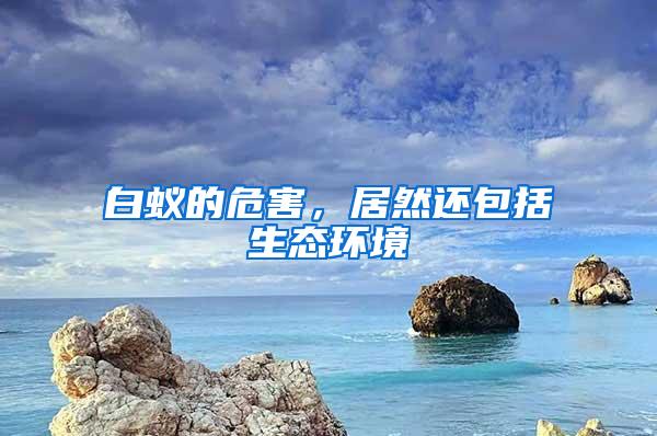白蟻的危害，居然還包括生態環境