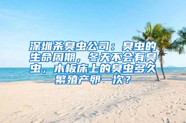 深圳殺臭蟲公司：臭蟲的生命周期，冬天不會有臭蟲，木板床上的臭蟲多久繁殖產卵一次？