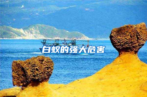 白蟻的強(qiáng)大危害
