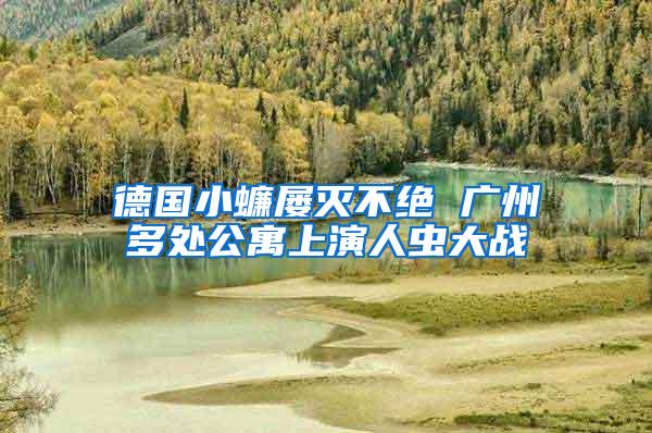 德國(guó)小蠊屢滅不絕 廣州多處公寓上演人蟲大戰(zhàn)