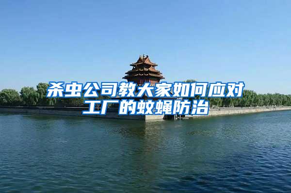 殺蟲公司教大家如何應(yīng)對工廠的蚊蠅防治