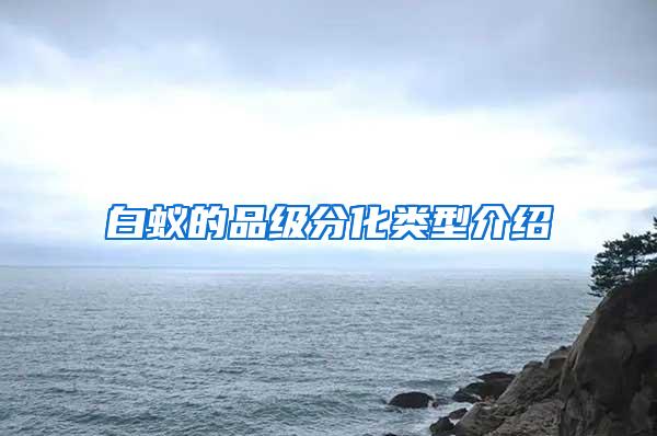 白蟻的品級(jí)分化類型介紹