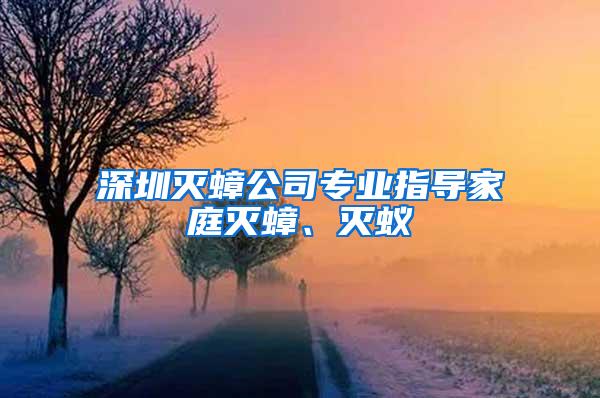 深圳滅蟑公司專業指導家庭滅蟑、滅蟻