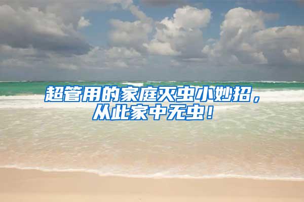 超管用的家庭滅蟲小妙招，從此家中無蟲！