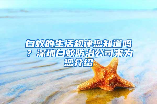 白蟻的生活規(guī)律您知道嗎？深圳白蟻防治公司來(lái)為您介紹