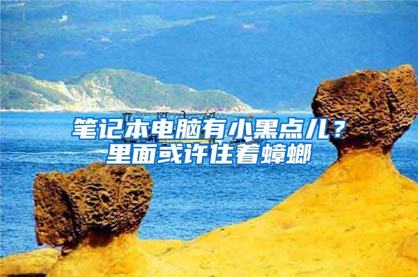 筆記本電腦有小黑點(diǎn)兒？里面或許住著蟑螂