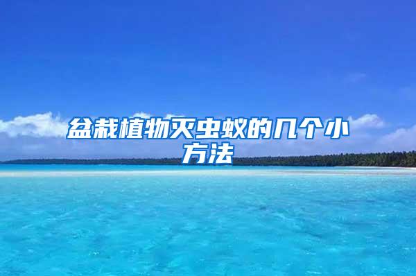 盆栽植物滅蟲(chóng)蟻的幾個(gè)小方法