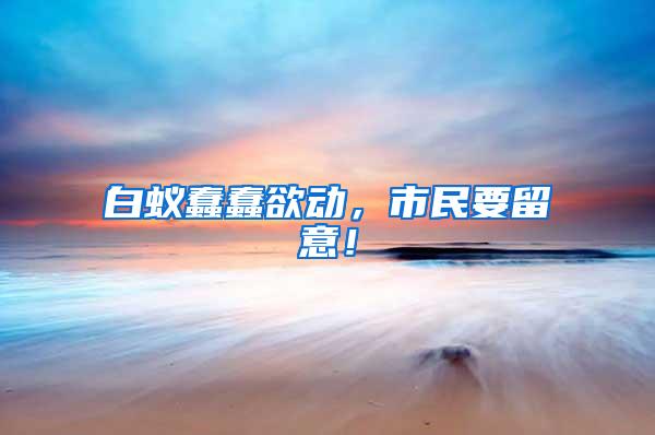 白蟻蠢蠢欲動，市民要留意！