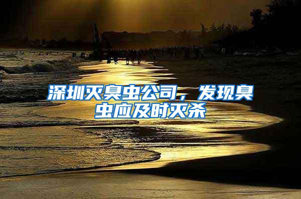 深圳滅臭蟲公司，發現臭蟲應及時滅殺